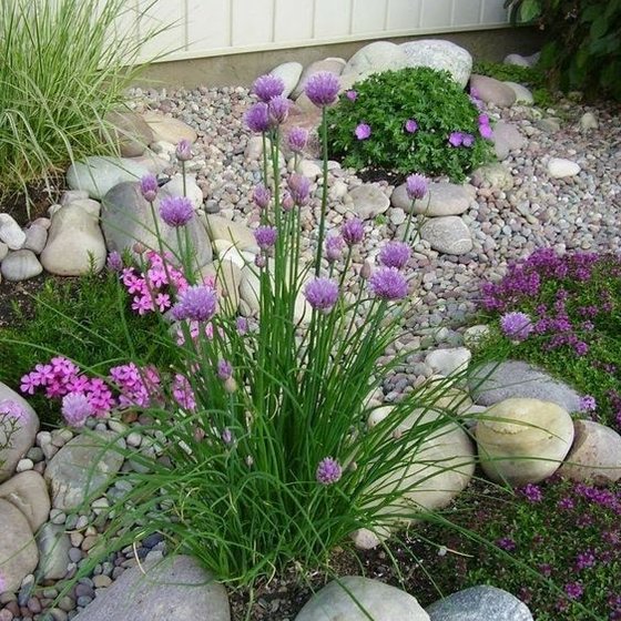 Идеи сада камней: Улучшение вашего сада с помощью потрясающего ландшафтного дизайна