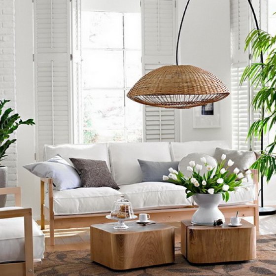 Комнатные растения — лучшее украшение дома
