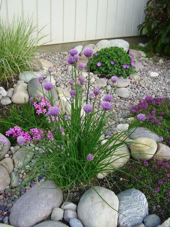 Идеи сада камней: Улучшение вашего сада с помощью потрясающего ландшафтного дизайна